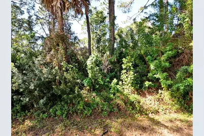 Solana Street, North Port, FL 34287 - Photo 4