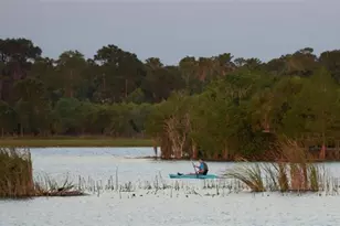 8422 Wethersfield Run, Lakewood Ranch, FL 34202 - Photo 90