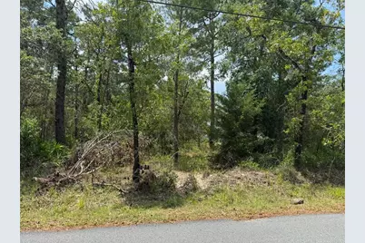 Lot 62 Michigan Avenue, Weeki Wachee, FL 34613 - Photo 1