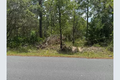 Lot 62 Michigan Avenue, Weeki Wachee, FL 34613 - Photo 4
