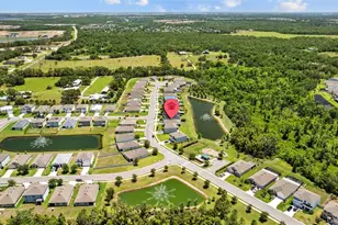 2721 Greenleaf Ter, Parrish, FL 34219 - Photo 56