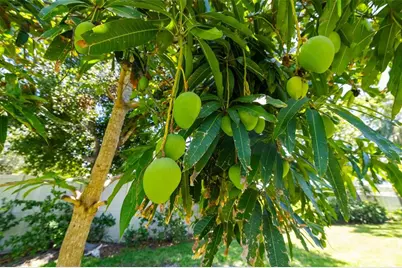 3988 Berlin Drive, Sarasota, FL 34233 - Photo 56