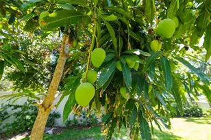 3988 Berlin Dr, Sarasota, FL 34233 - Photo 56