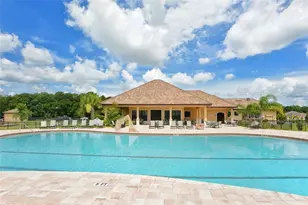 12520 Natureview Cir, Bradenton, FL 34212 - Photo 66