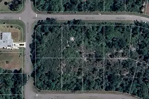 12507 Richey Ave, Port Charlotte, FL 33953 - Photo 1