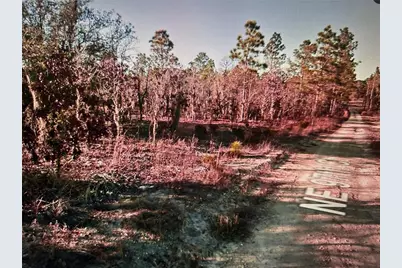 03381-235-00 NE 97th Court, Bronson, FL 32621 - Photo 1