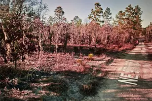 03381-235-00 NE 97th Ct, Bronson, FL 32621 - Photo 1