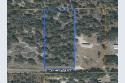Tbd School Street, Bronson, FL 32621 - Photo 2