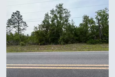 Tbd School Street, Bronson, FL 32621 - Photo 6
