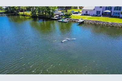 3861 N Ringdove Point, Crystal River, FL 34428 - Photo 54