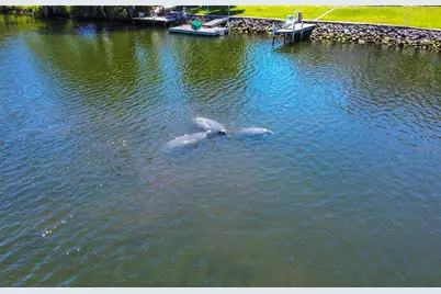 3861 N Ringdove Point, Crystal River, FL 34428 - Photo 4