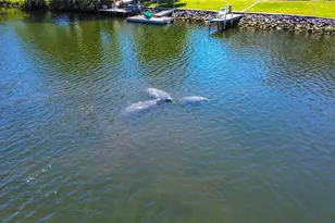 3861 N Ringdove Point, Crystal River, FL 34428 - Photo 4