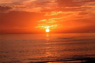 1203 Lyric Ln, Sarasota, FL 34242 - Photo 66