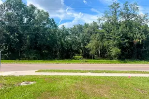 1308 E Alsobrook St, Plant City, FL 33563 - Photo 1