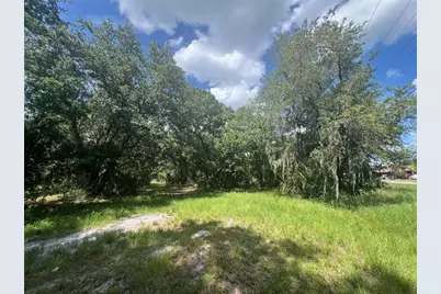 1308 E Alsobrook Street, Plant City, FL 33563 - Photo 10