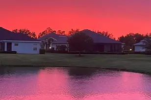 1539 Ormond Terrace, Parrish, FL 34219 - Photo 50