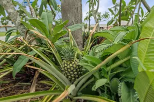 202 Bedford Trail, Sun City Center, FL 33573 - Photo 18