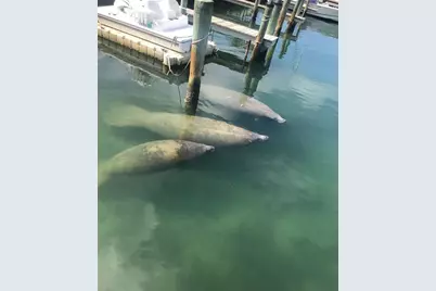 767 John Ringling Boulevard #25, Sarasota, FL 34236 - Photo 56