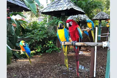 3605 Iroquois Avenue, Sarasota, FL 34234 - Photo 44