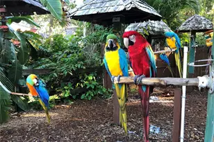 3605 Iroquois Ave, Sarasota, FL 34234 - Photo 44