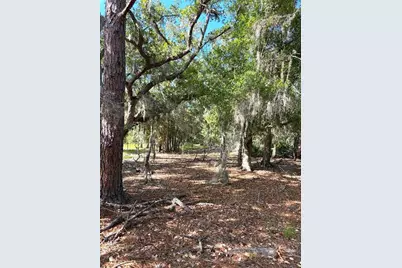 3045 Logue Road, Myakka City, FL 34251 - Photo 14