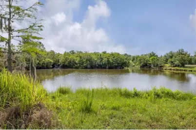 3045 Logue Road, Myakka City, FL 34251 - Photo 12