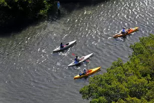 1921 Monte Carlo Dr, Sarasota, FL 34231 - Photo 34