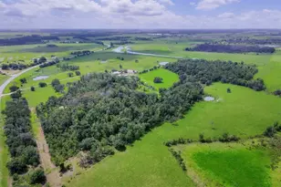 39700 State Road 70 E, Myakka City, FL 34251 - Photo 4