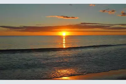 8009 20th Place W, Bradenton, FL 34209 - Photo 48