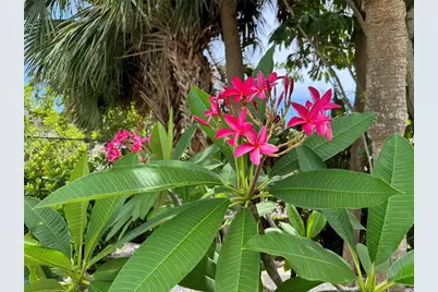 3810 75th Street W #137, Bradenton, FL 34209 - Photo 56