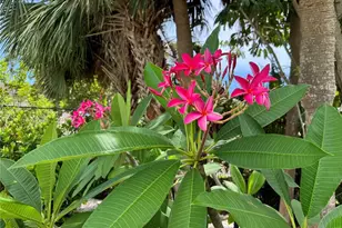 3810 75th St W, Bradenton, FL 34209 - Photo 56