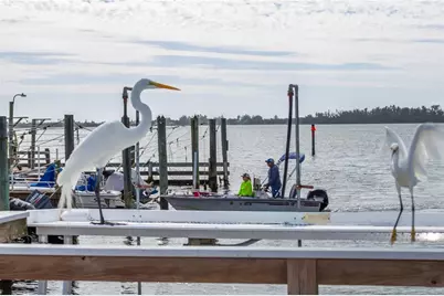 10315 Cortez Road W #24-2, Bradenton, FL 34210 - Photo 14