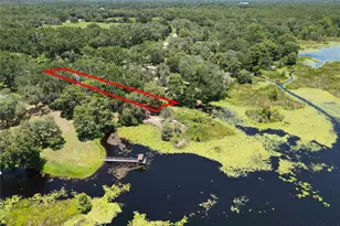 8781 S Lakeshore Dr, Floral City, FL 34436 - Photo 6