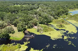 8781 S Lakeshore Dr, Floral City, FL 34436 - Photo 44