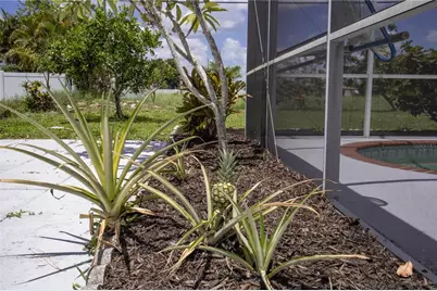 3167 Pinetree Street, Port Charlotte, FL 33952 - Photo 36