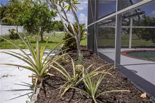 3167 Pinetree St, Port Charlotte, FL 33952 - Photo 36