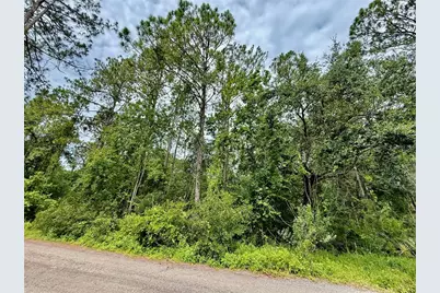 Westpoint Drive LOT#474, Wesley Chapel, FL 33544 - Photo 1