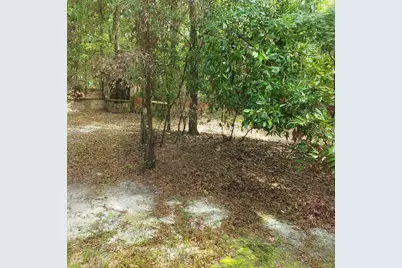 28063 31st Road, Branford, FL 32008 - Photo 22