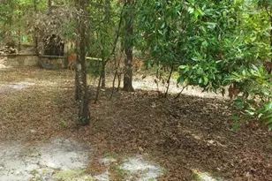 28063 31st Rd, Branford, FL 32008 - Photo 22