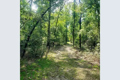 28063 31st Road, Branford, FL 32008 - Photo 24