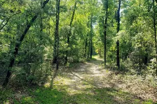 28063 31st Rd, Branford, FL 32008 - Photo 24