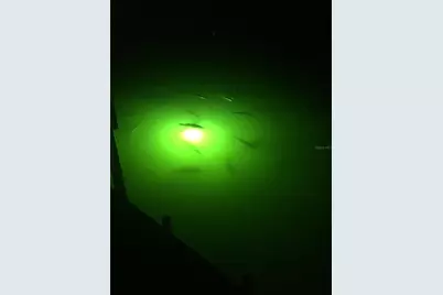 4385 Pompano Lane, Palmetto, FL 34221 - Photo 20