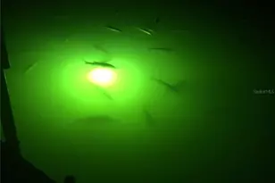 4385 Pompano Ln, Palmetto, FL 34221 - Photo 20