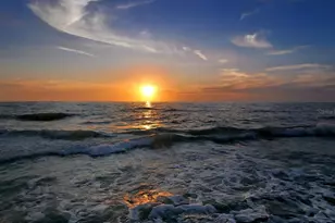 1150 Tarpon Center Dr, Venice, FL 34285 - Photo 50