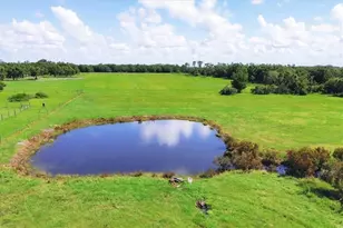 28120 Brandiff Rd, Myakka City, FL 34251 - Photo 20