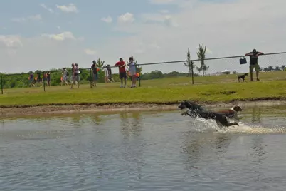 7039 Woodmore Terrace, Lakewood Ranch, FL 34202 - Photo 88