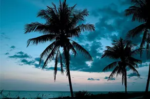 643 Calle De Peru, Sarasota, FL 34242 - Photo 18