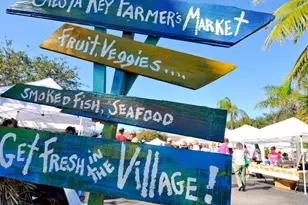 2506 Wilkinson Rd, Sarasota, FL 34231 - Photo 50