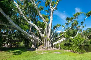 2506 Wilkinson Rd, Sarasota, FL 34231 - Photo 32