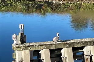 425 Cerromar Terrace, Venice, FL 34293 - Photo 52